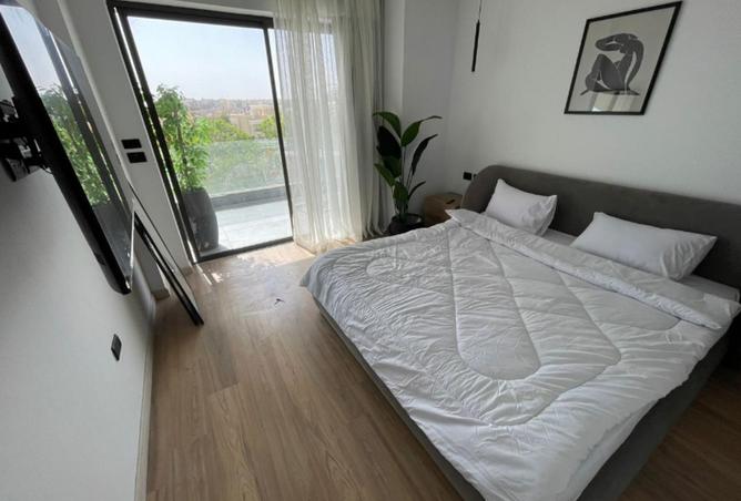 8135744 - Property Image 2