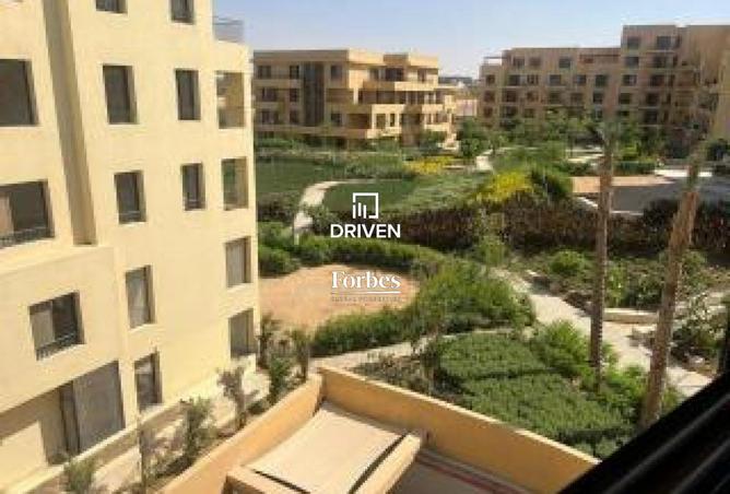 8061538 - صورة العقار 2
