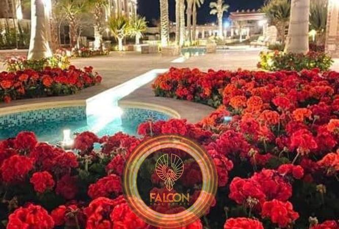 8063619 - صورة العقار 2
