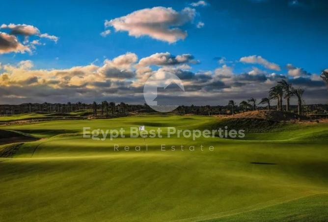 8419275 - Property Image 3