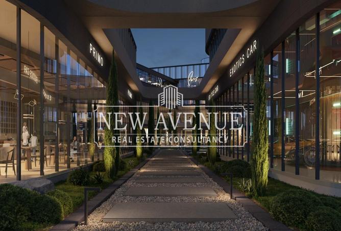 8175276 - Property Image 3