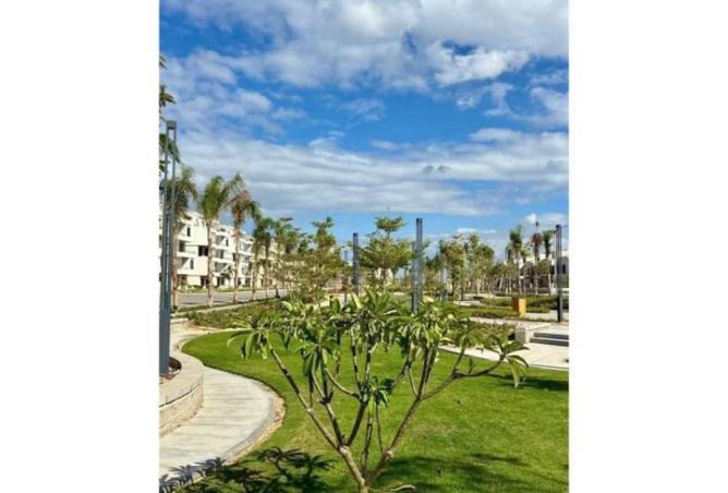 8435677 - صورة العقار 2