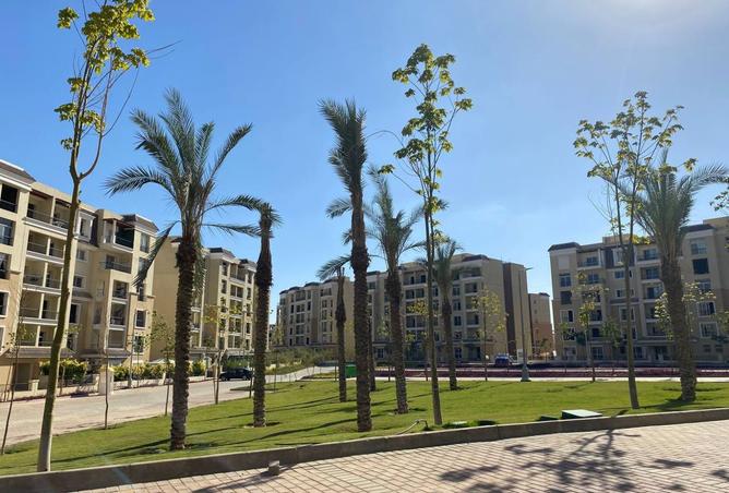 8232243 - Property Image 3