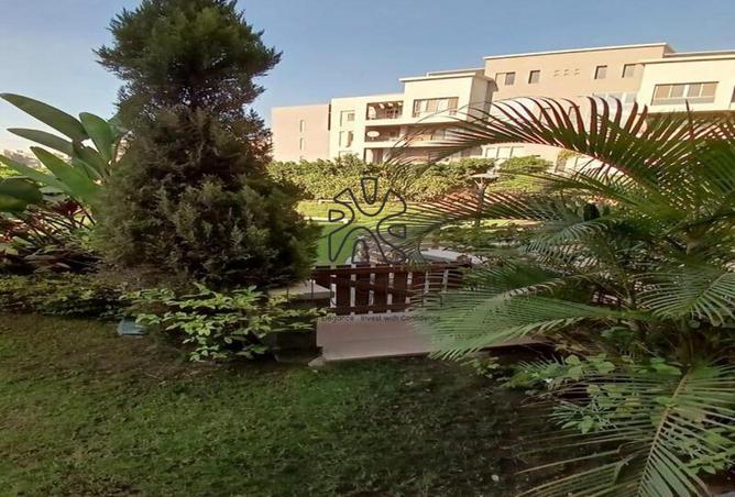 7814197 - Property Image 2