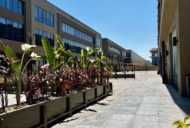 8535161 - صورة العقار 3