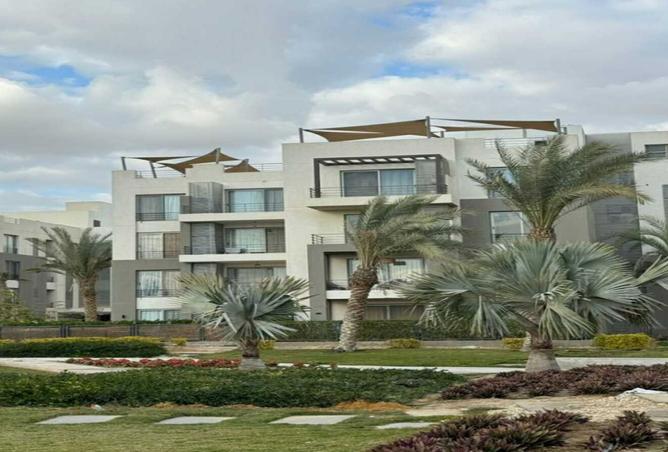 8182539 - Property Image 3