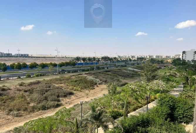 7898986 - صورة العقار 2
