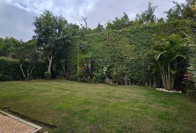 8278564 - Property Image 2