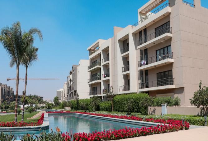 8012756 - صورة العقار 3