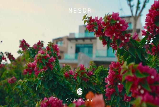 7979318 - صورة العقار 2