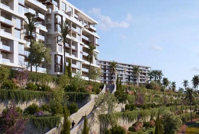 8238573 - Property Image 3