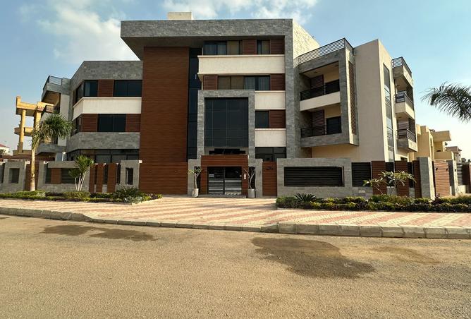8075365 - Property Image 3