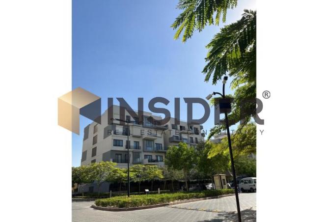 8015385 - Property Image 3