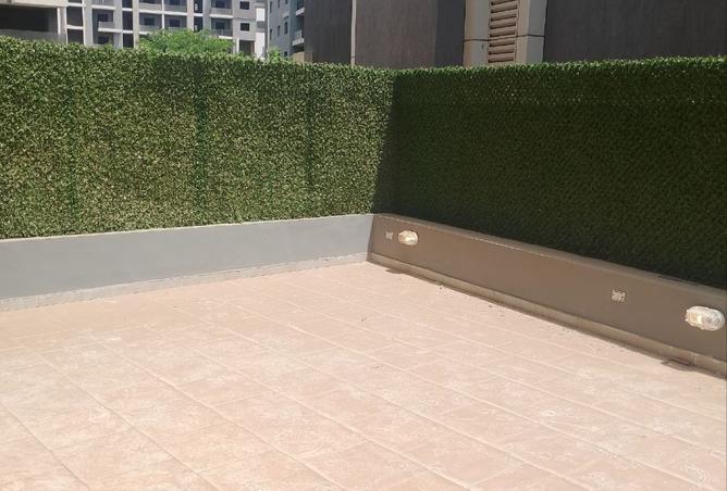 8025497 - Property Image 2