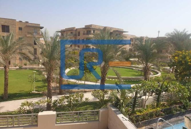 7980198 - صورة العقار 2