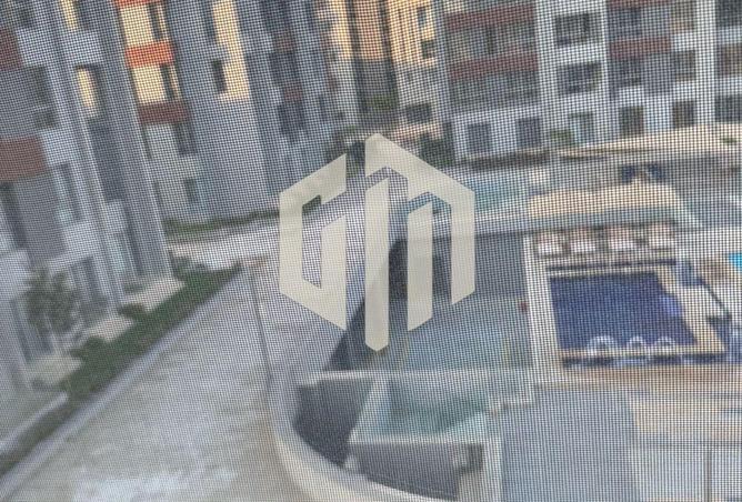 8447747 - Property Image 3