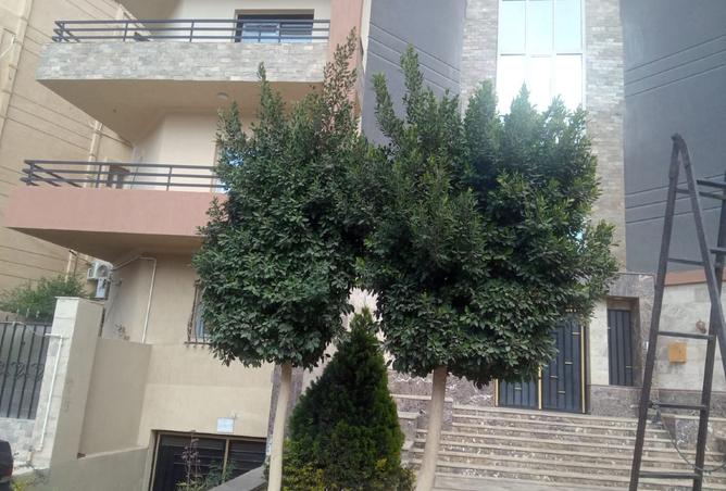 8244120 - Property Image 2