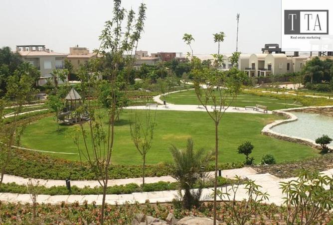7907006 - صورة العقار 3