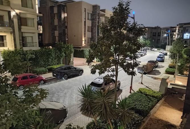 8381537 - Property Image 3