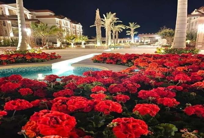 7998864 - صورة العقار 3