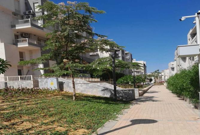 8063698 - صورة العقار 3