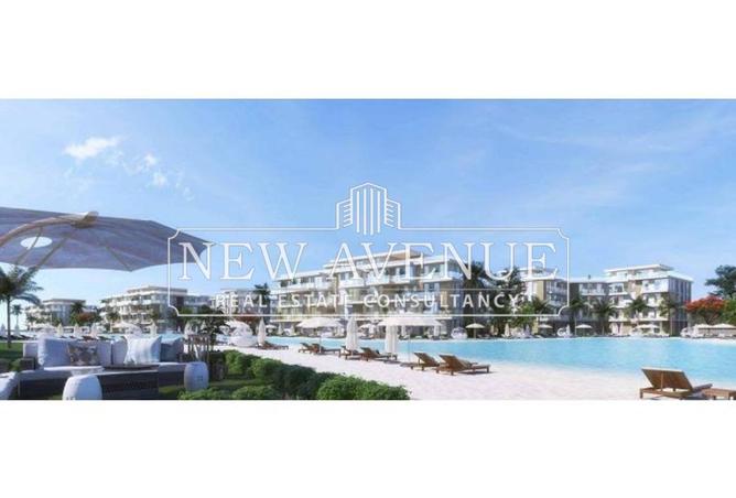 8240221 - صورة العقار 3