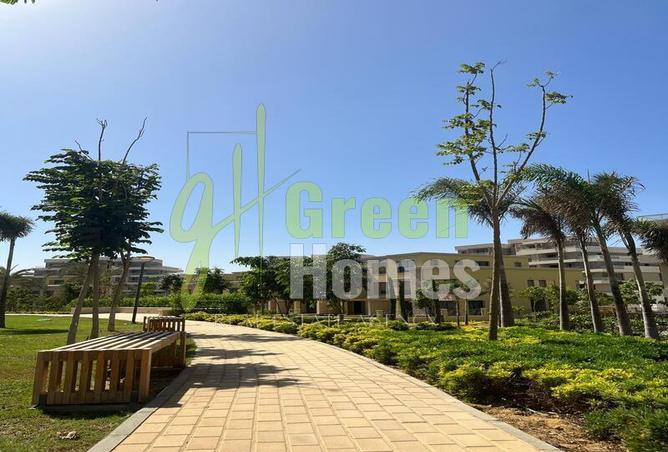 8277948 - صورة العقار 3