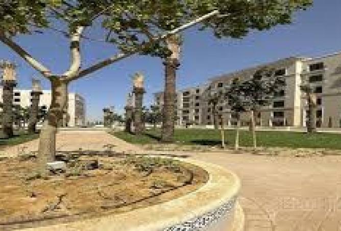 8487964 - Property Image 3