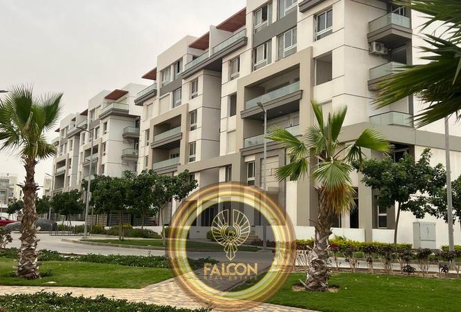 8430929 - Property Image 2