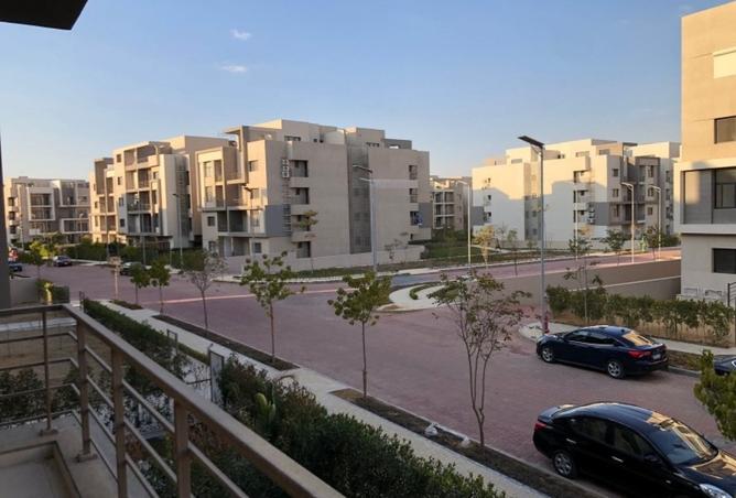 7956300 - صورة العقار 2