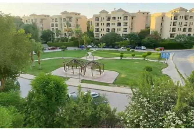 8083809 - Property Image 3