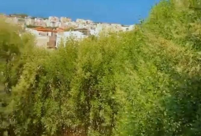 8305648 - Property Main Image