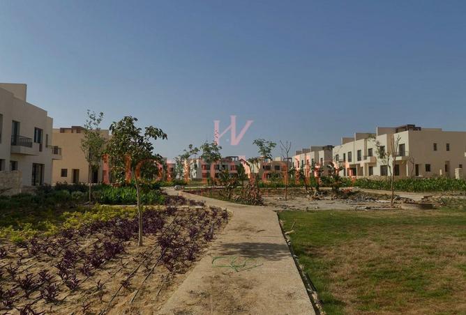 8375120 - Property Image 3