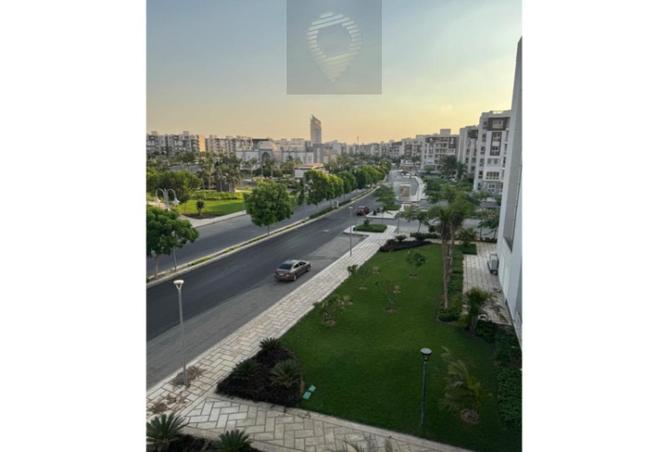 8184532 - Property Image 3