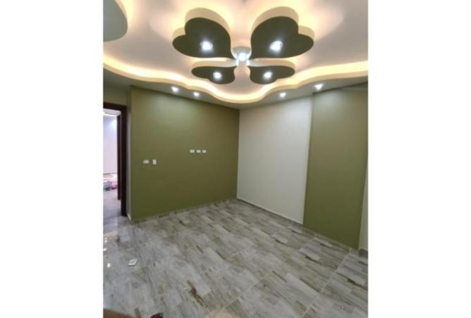 8368237 - Property Image 2