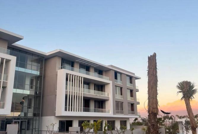 8492076 - Property Image 3