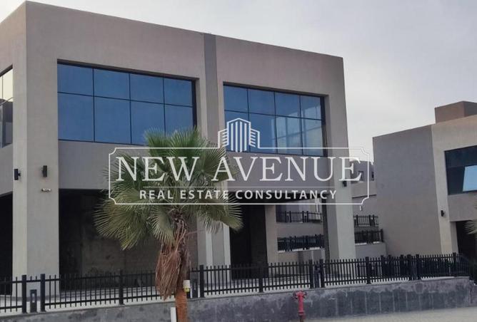 8430887 - Property Image 3