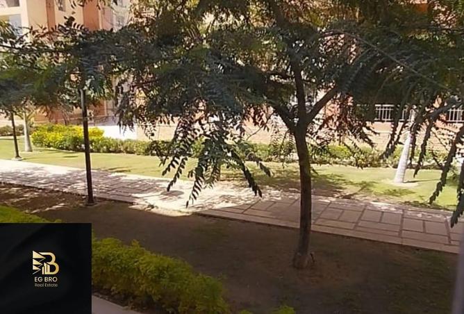 8331186 - صورة العقار 3