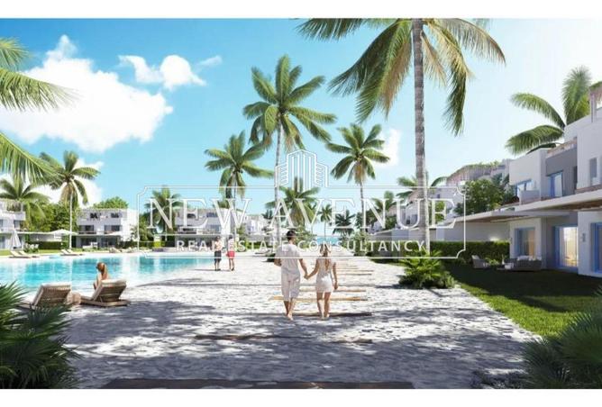 8482532 - Property Image 3