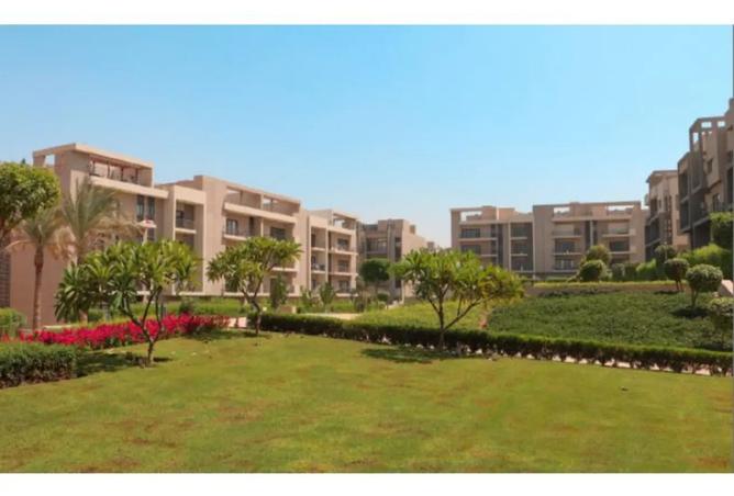 8164508 - صورة العقار 2