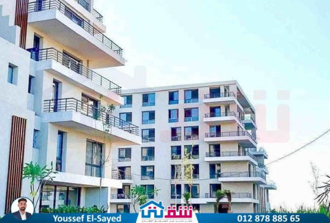 8136276 - Property Image 3