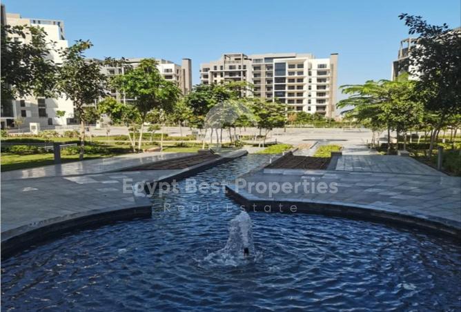 7996828 - Property Image 2