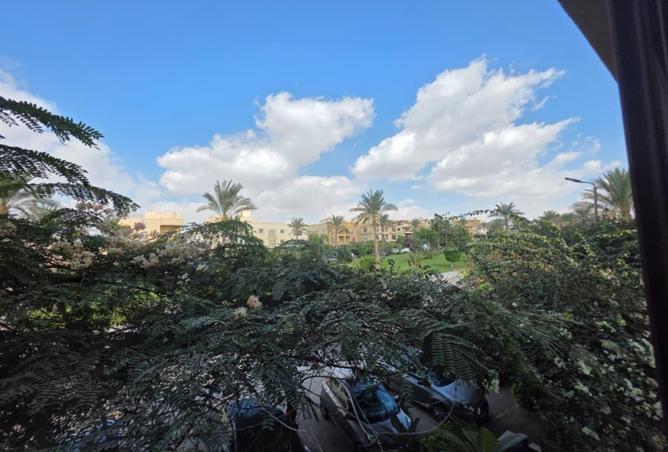 8401195 - Property Image 3