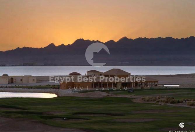 7954795 - صورة العقار 3