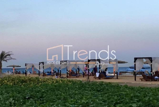 8393866 - صورة العقار 2