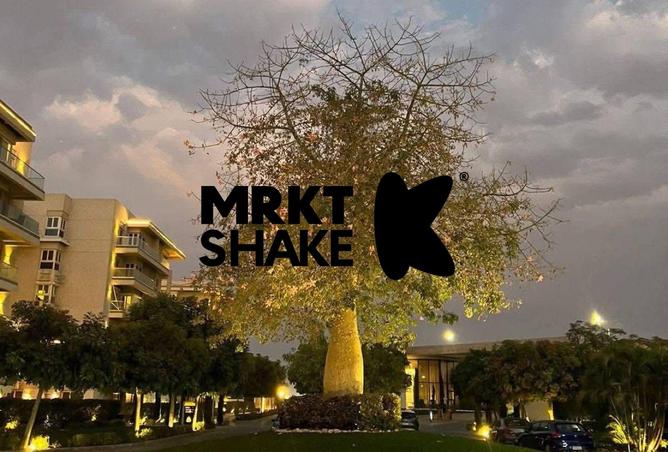 8458247 - Property Image 3