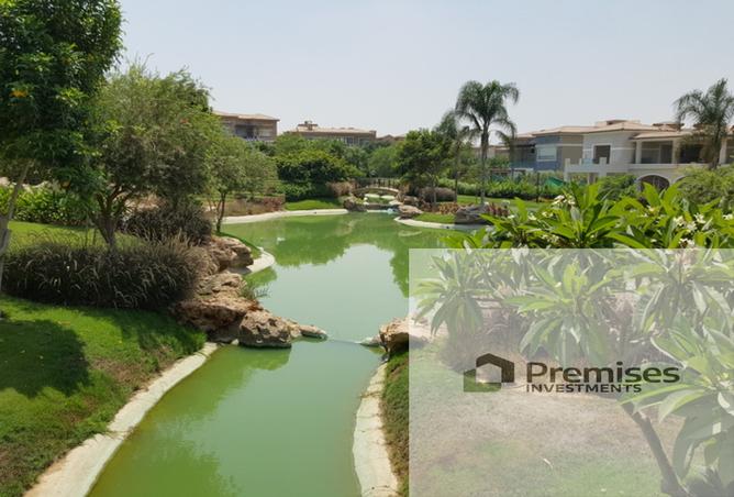 8042558 - صورة العقار 3