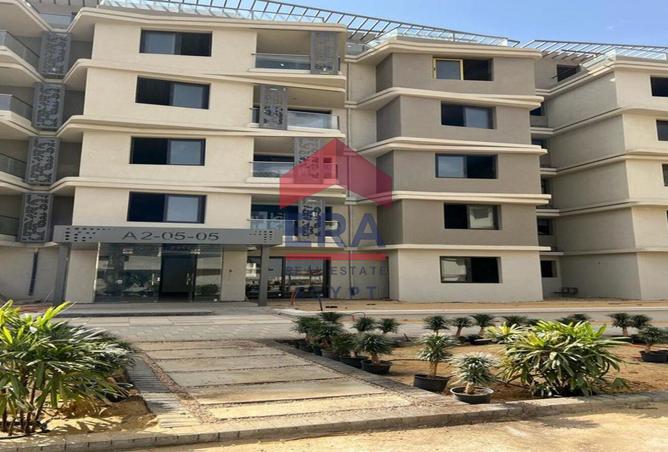 8176713 - صورة العقار 3