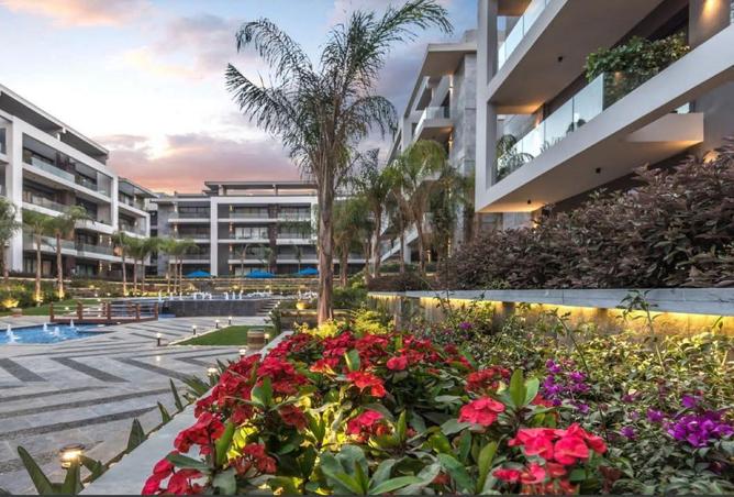 8551679 - Property Image 3