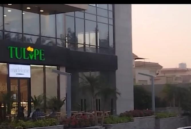 8355767 - صورة العقار 3